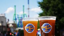 Food and Brew Festival at Six Flags New England