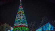 Giant Christmas Tree at Six Flags Discovery Kingdom